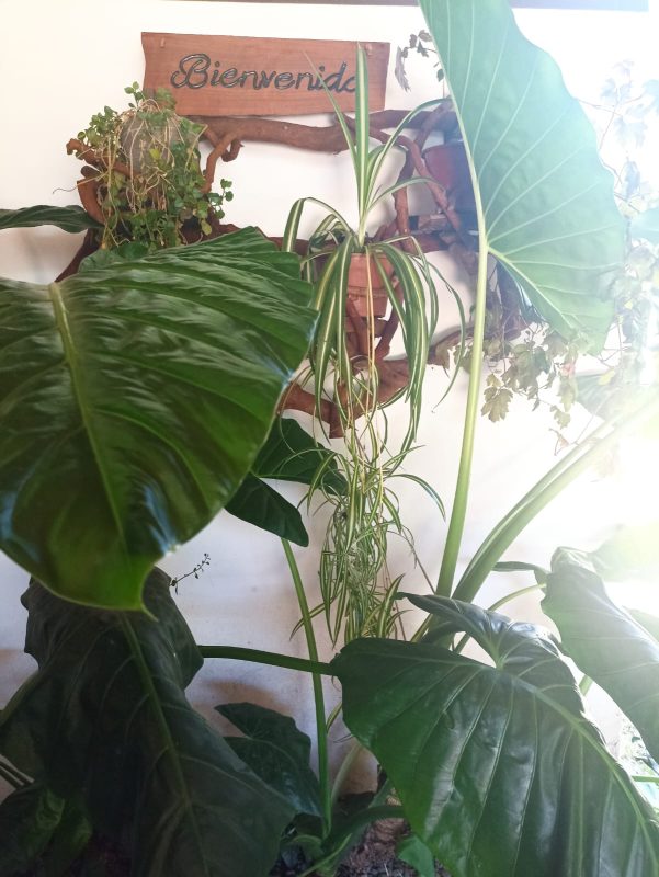 WhatsApp Image 2025-12-03 at 9.57.39 PM