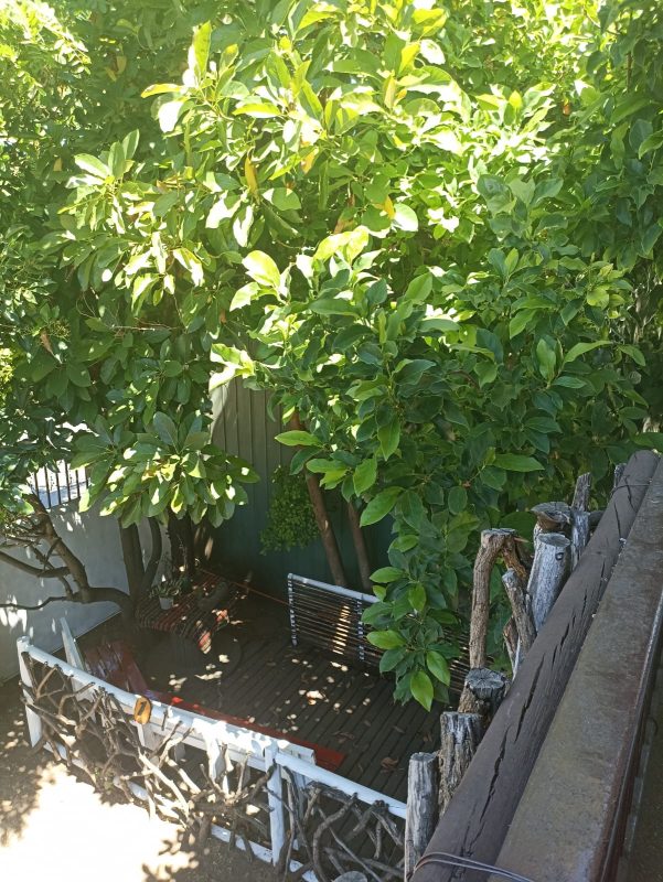 WhatsApp Image 2025-12-03 at 9.57.57 PM (2)