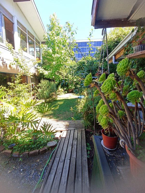 WhatsApp Image 2025-12-03 at 9.58.48 PM