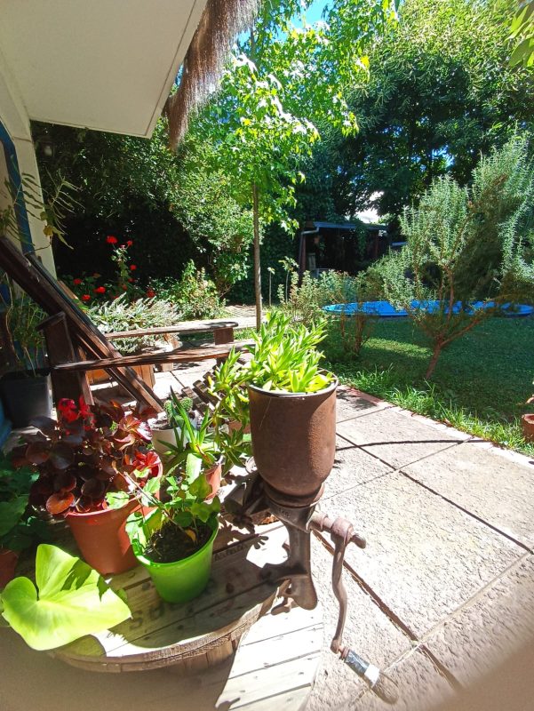 WhatsApp Image 2025-12-03 at 9.58.50 PM (1)