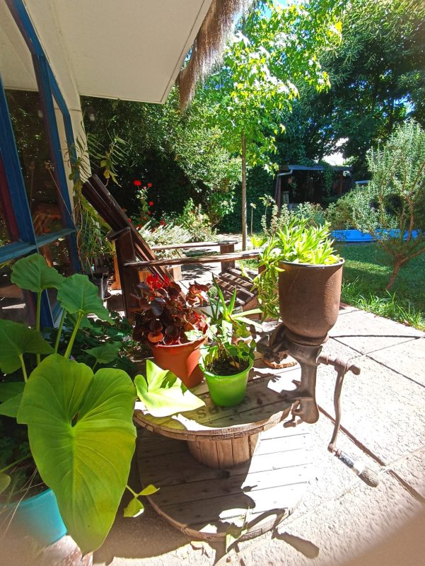 WhatsApp Image 2025-12-03 at 9.58.51 PM (1)