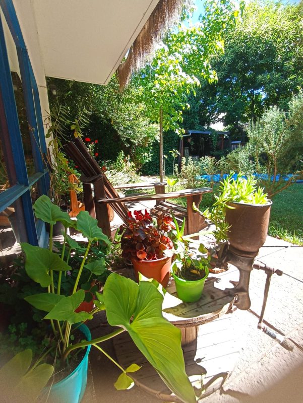 WhatsApp Image 2025-12-03 at 9.58.51 PM