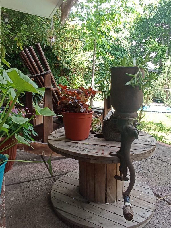 WhatsApp Image 2025-12-08 at 9.19.35 PM (2)