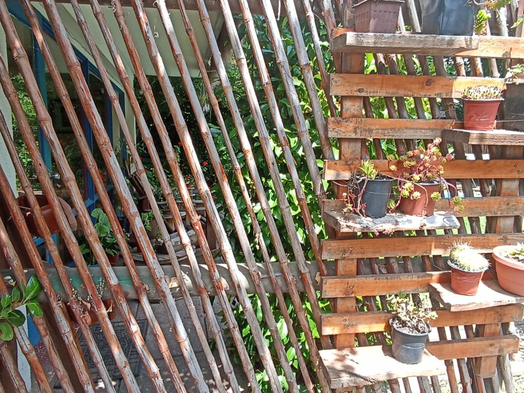 WhatsApp Image 2025-12-08 at 9.19.36 PM (2)