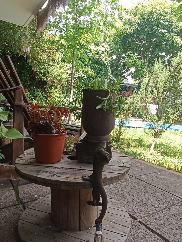 WhatsApp Image 2025-12-08 at 9.19.36 PM